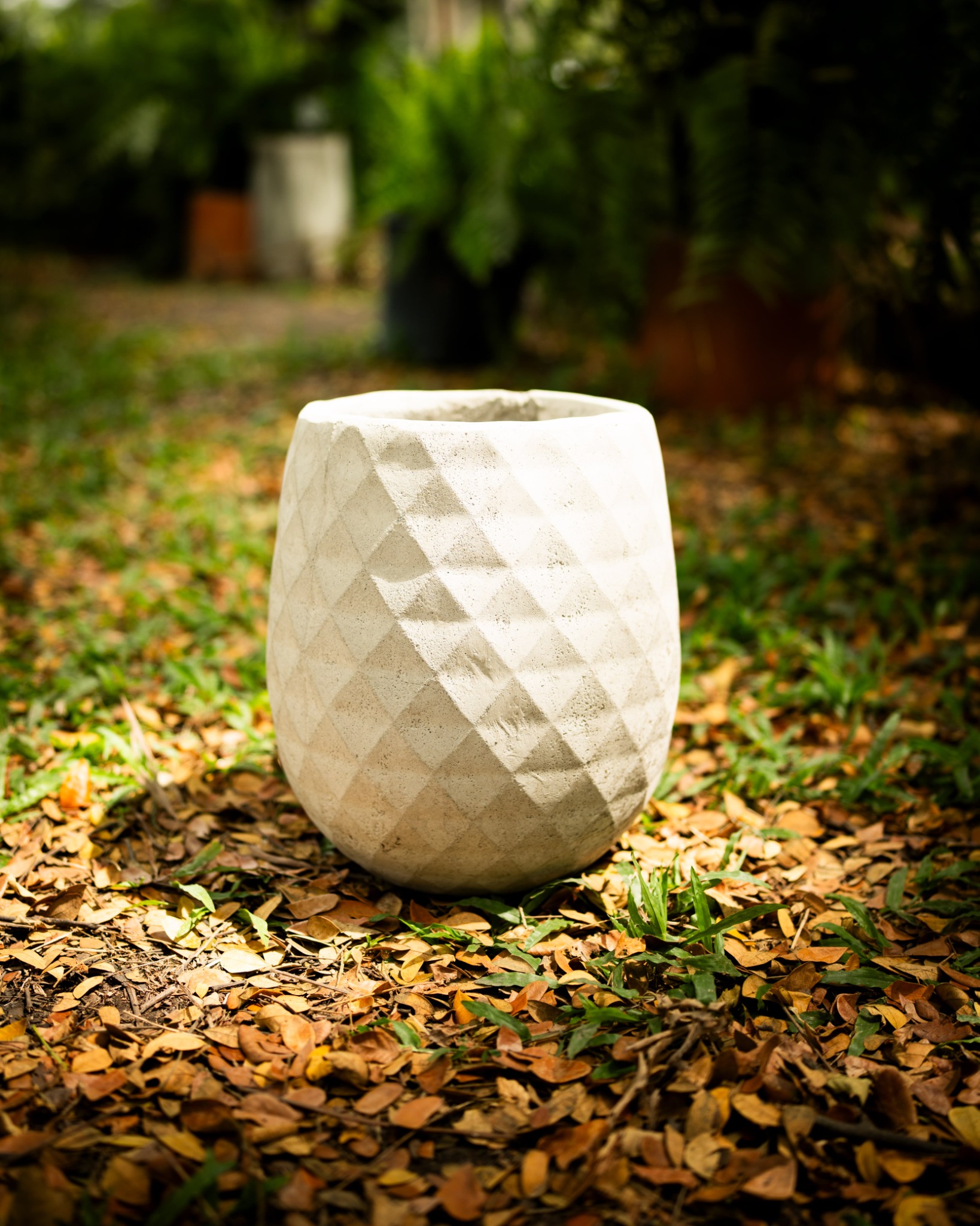 VIVERO MARINELA — selección visual