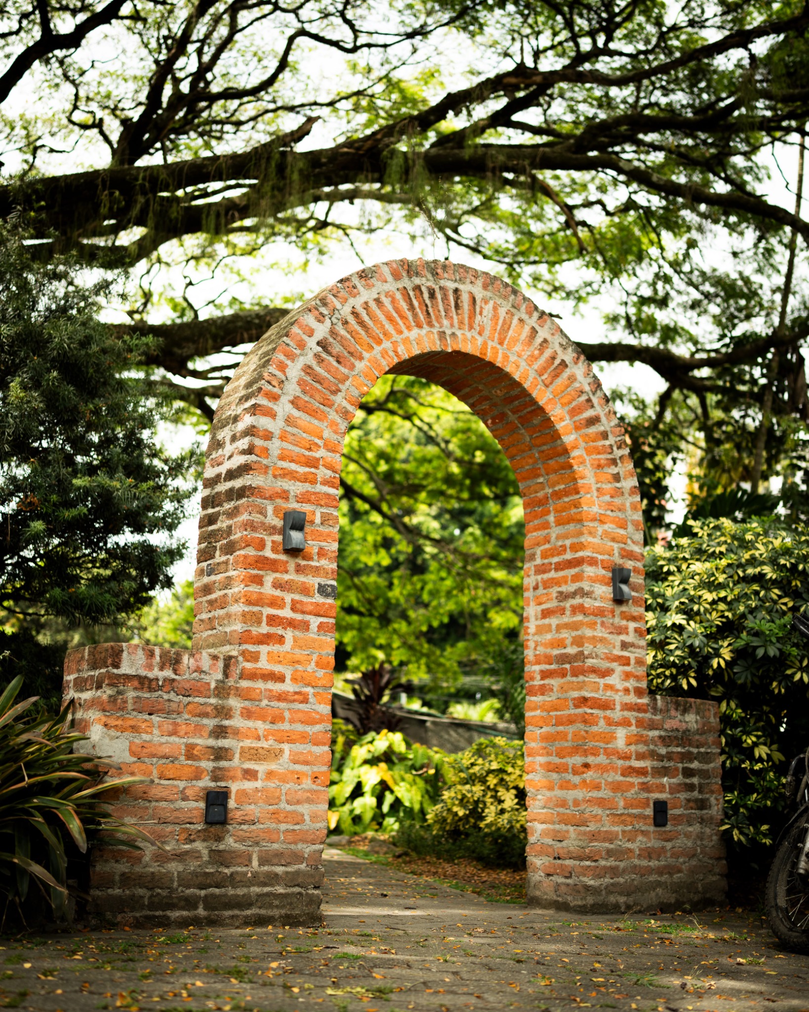 Vivero Marinela — contenido y fotografía